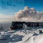 Eulennestchen-harz S1 Oder L2 Fuer Single, Paar Oder Familie & Hund Oberharz 아파트