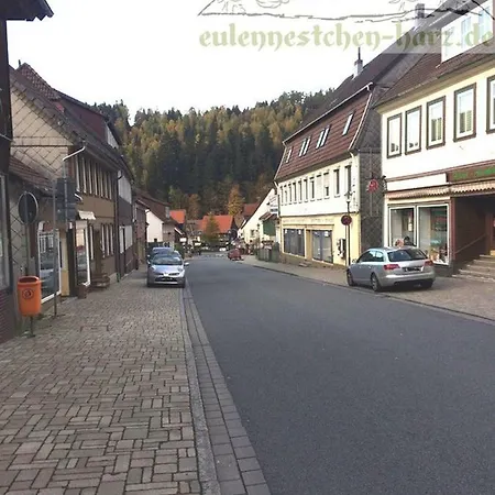 Eulennestchen-harz S1 & L2 Fuer Single, Paar Oder Familie & Hund Oberharz *