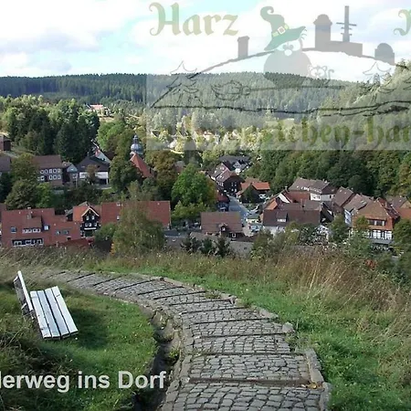 Apartment Eulennestchen-harz S1 & L2 Fuer Single, Paar Oder Familie & Hund Oberharz Altenau (Lower-Saxony)