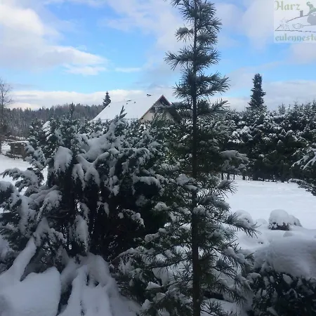 شقة Eulennestchen-harz S1 Oder L2 Fuer Single, Paar Oder Familie & Hund Oberharz *
