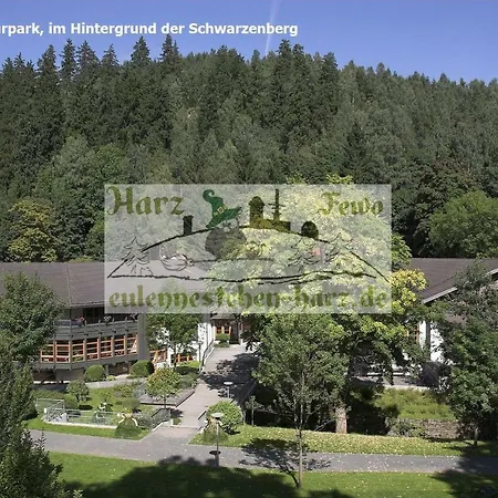 Appartement Eulennestchen-harz S1 Oder L2 Fuer Single, Paar Oder Familie & Hund Oberharz Altenau (Lower-Saxony)