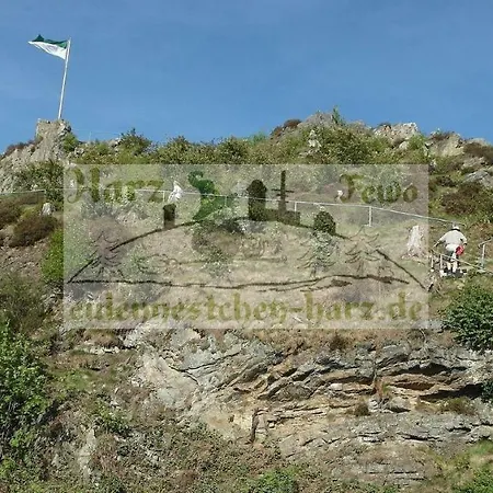 Eulennestchen-harz S1 Oder L2 Fuer Single, Paar Oder Familie & Hund Oberharz *
