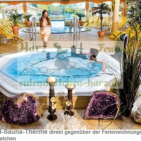 شقة Eulennestchen-harz S1 Oder L2 Fuer Single, Paar Oder Familie & Hund Oberharz *