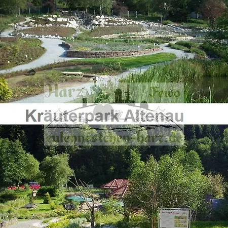 Eulennestchen-harz S1 & L2 Fuer Single, Paar Oder Familie & Hund Oberharz *