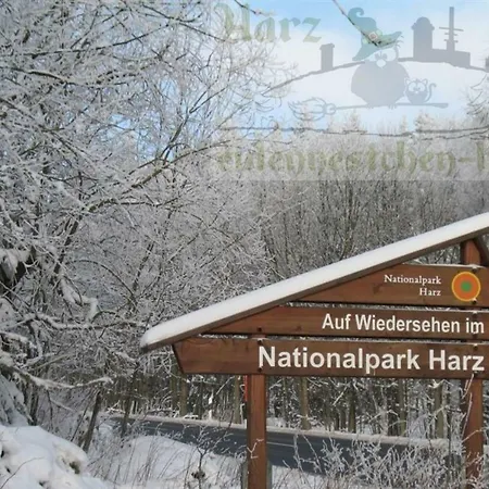 Eulennestchen-harz S1 & L2 Fuer Single, Paar Oder Familie & Hund Oberharz Lejlighed Altenau (Lower-Saxony)