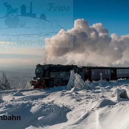 Eulennestchen-harz S1 & L2 Fuer Single, Paar Oder Familie & Hund Oberharz Daire